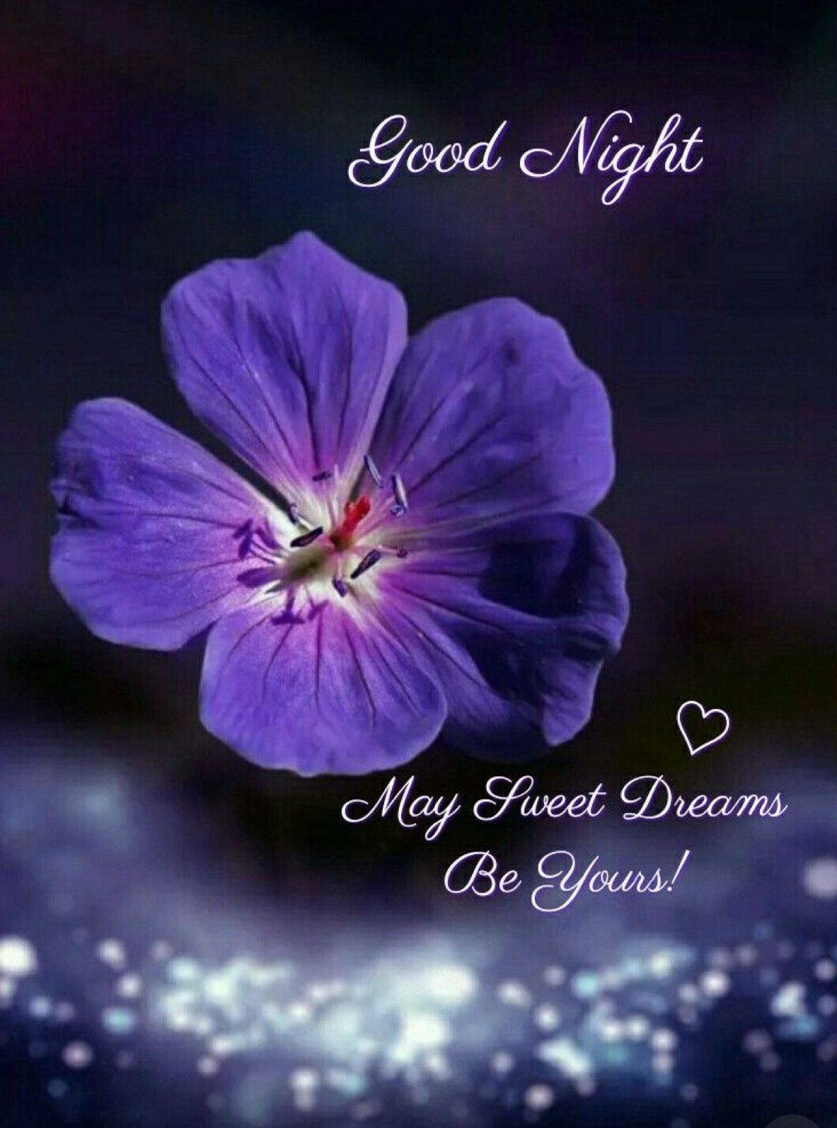 Fiore viola buonanotte, 1183x1594 Verticale, Android