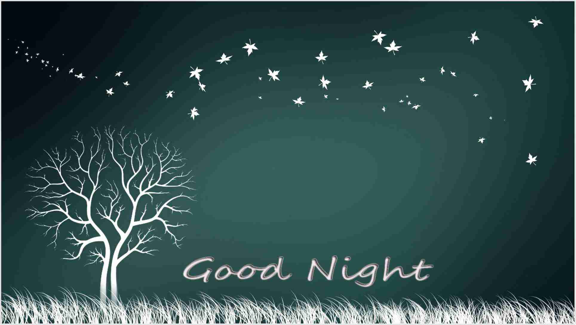 Albero e uccelli buonanotte, 1929x1089 Full HD, Desktop