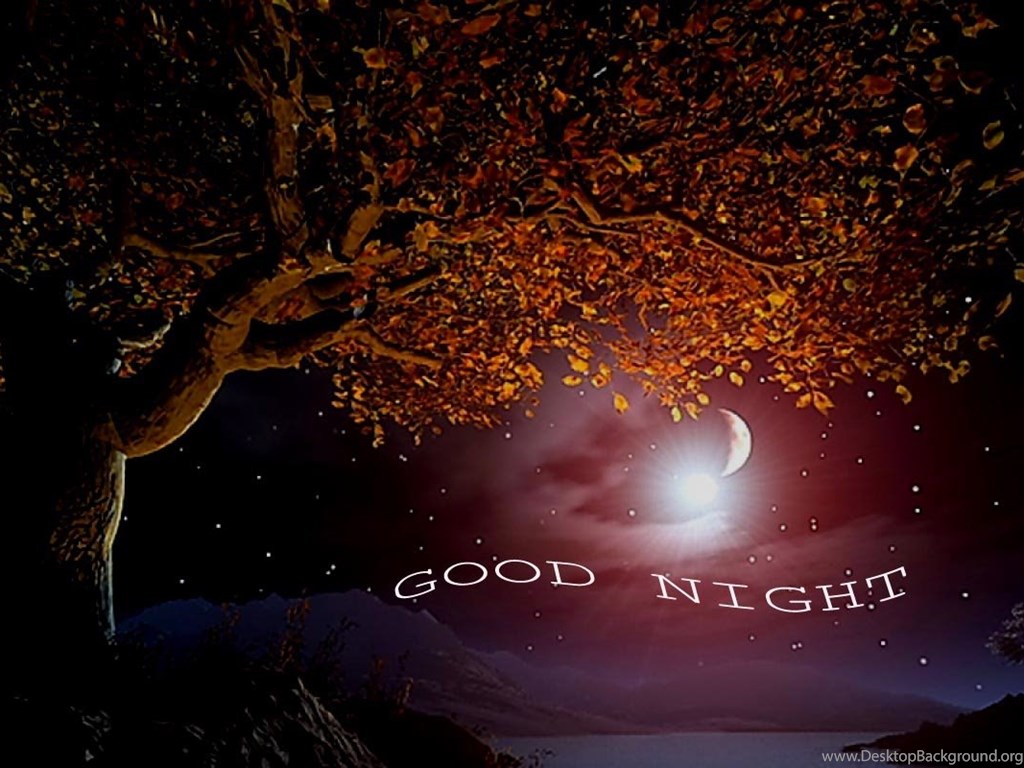 Albero autunnale con luna notturna, 1024x768 HD, Desktop