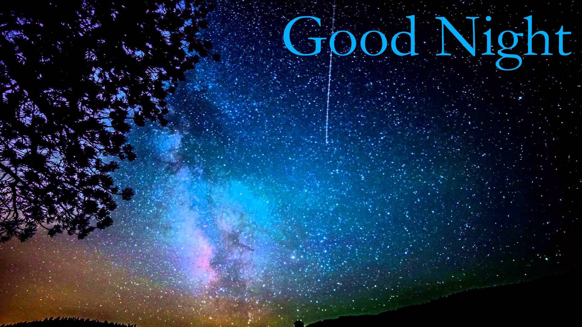 Cielo stellato notturno con albero, 1920x1080 Full HD 1080p, PC Desktop