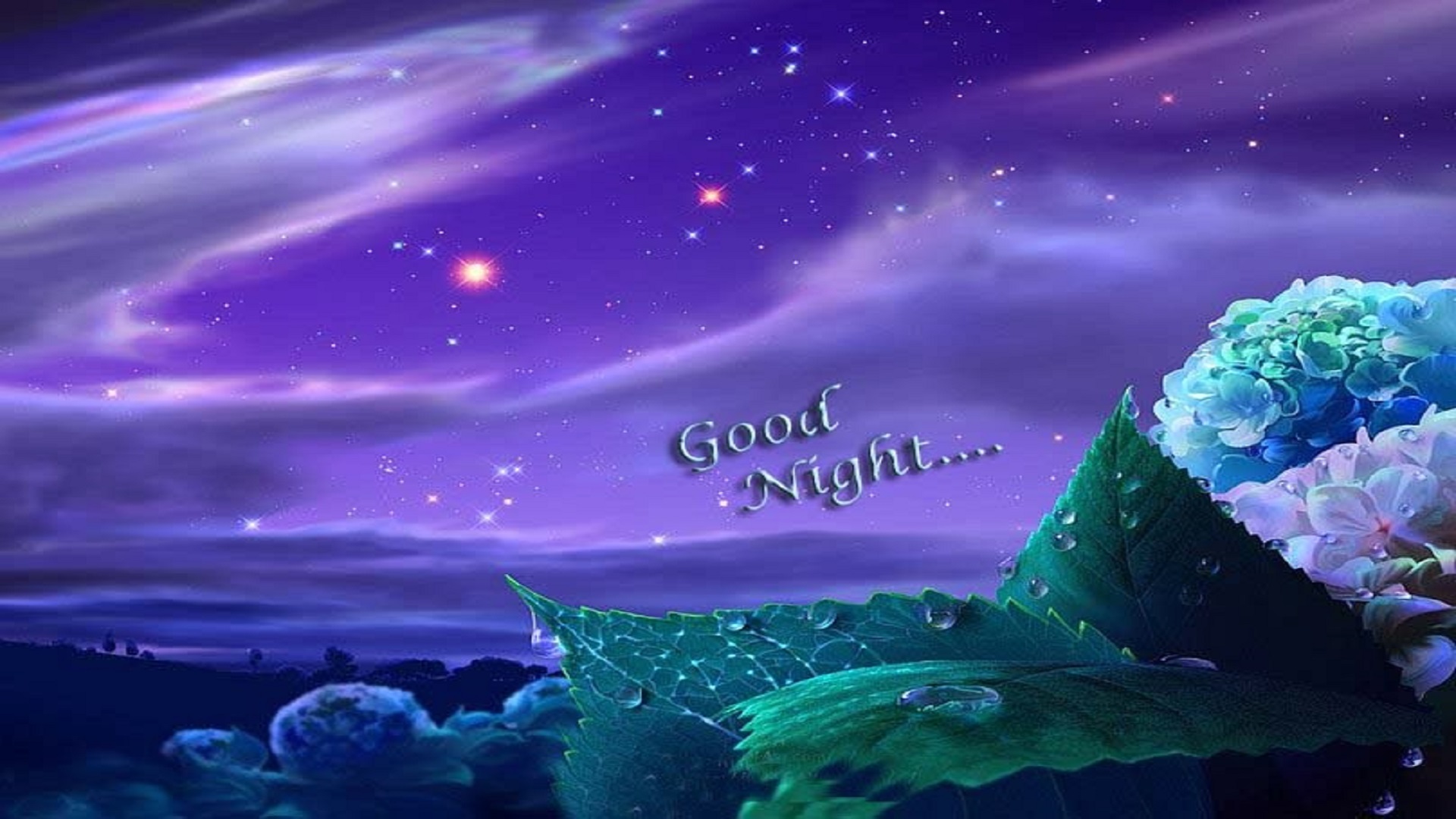 Cielo notturno viola con fiori, 1920x1080 Full HD, Desktop