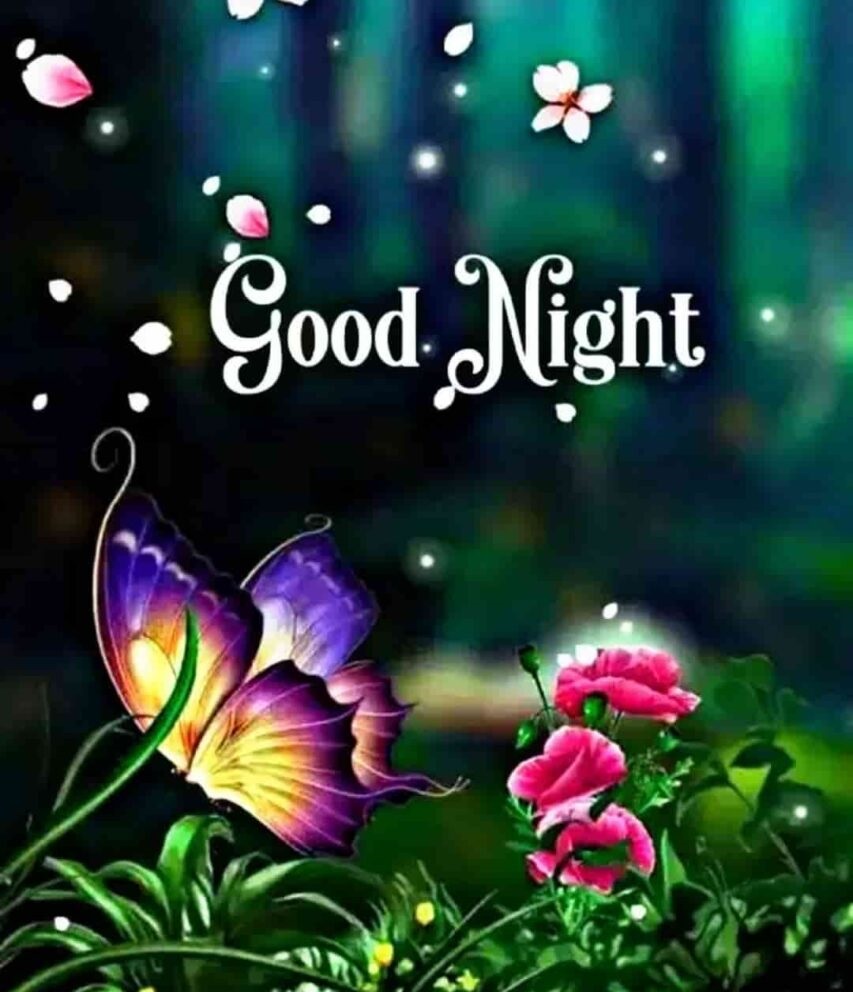 Farfalla viola fiori notte, 853x992 Verticale, Xiaomi