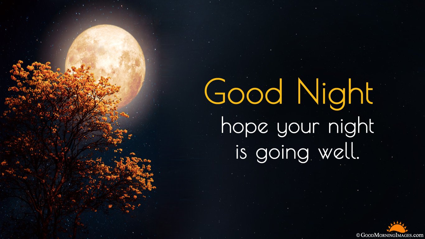 Luna piena e albero autunnale, 1366x768 720p, Laptop