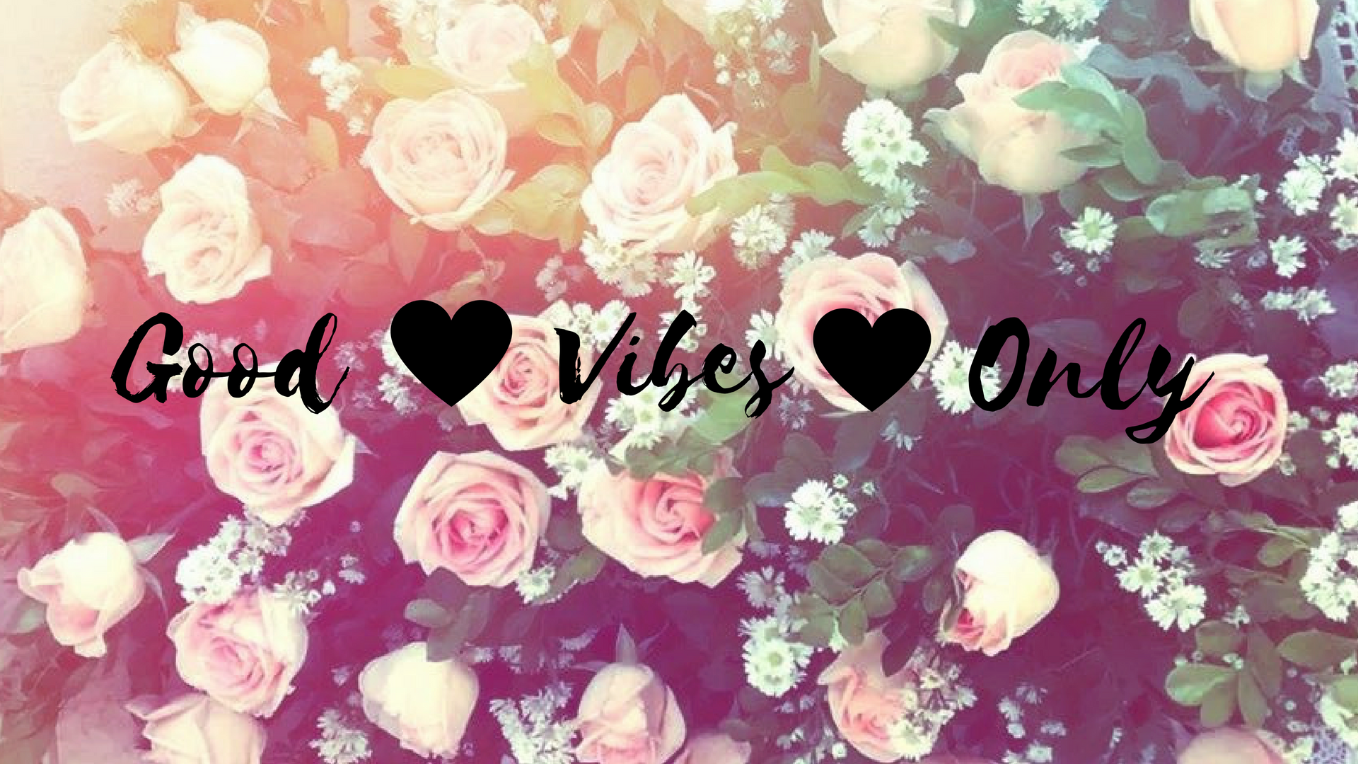 Rose rosa e testo Good Vibes Only, 1920x1080 Full HD, PC Desktop