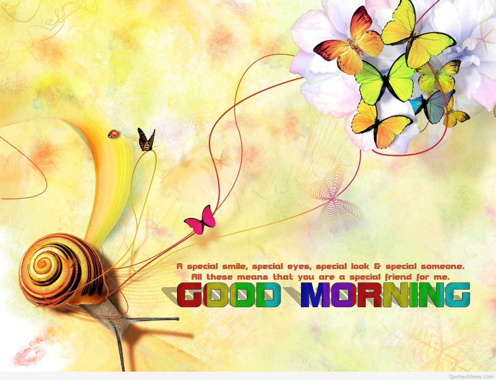 Lumaca farfalle Buongiorno, 1600x1227 HD Ready, PC