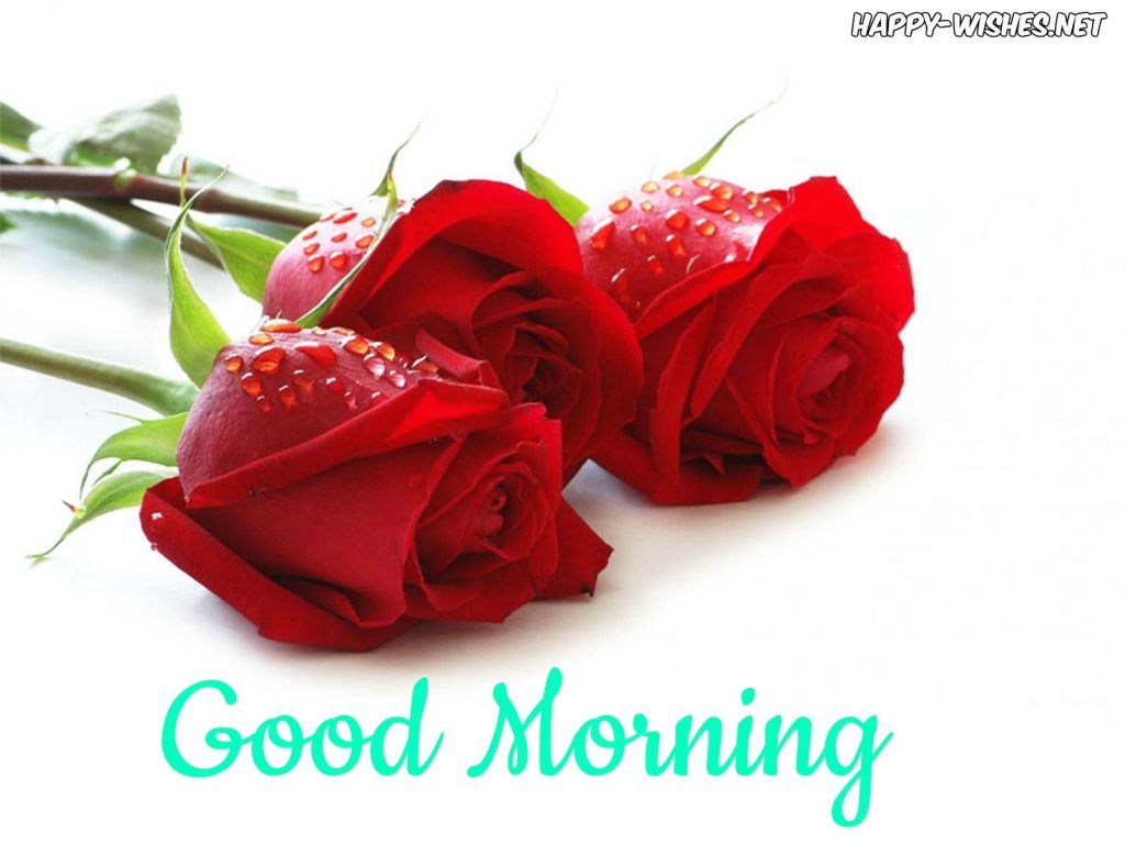 Rose rosse con gocce d'acqua, 1024x768 HD, Desktop