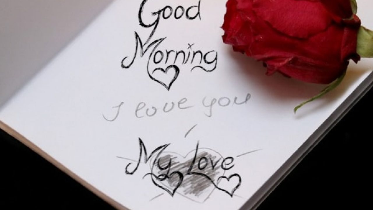 Rosa rossa con scritte buongiorno, 1280x720 720p, Laptop