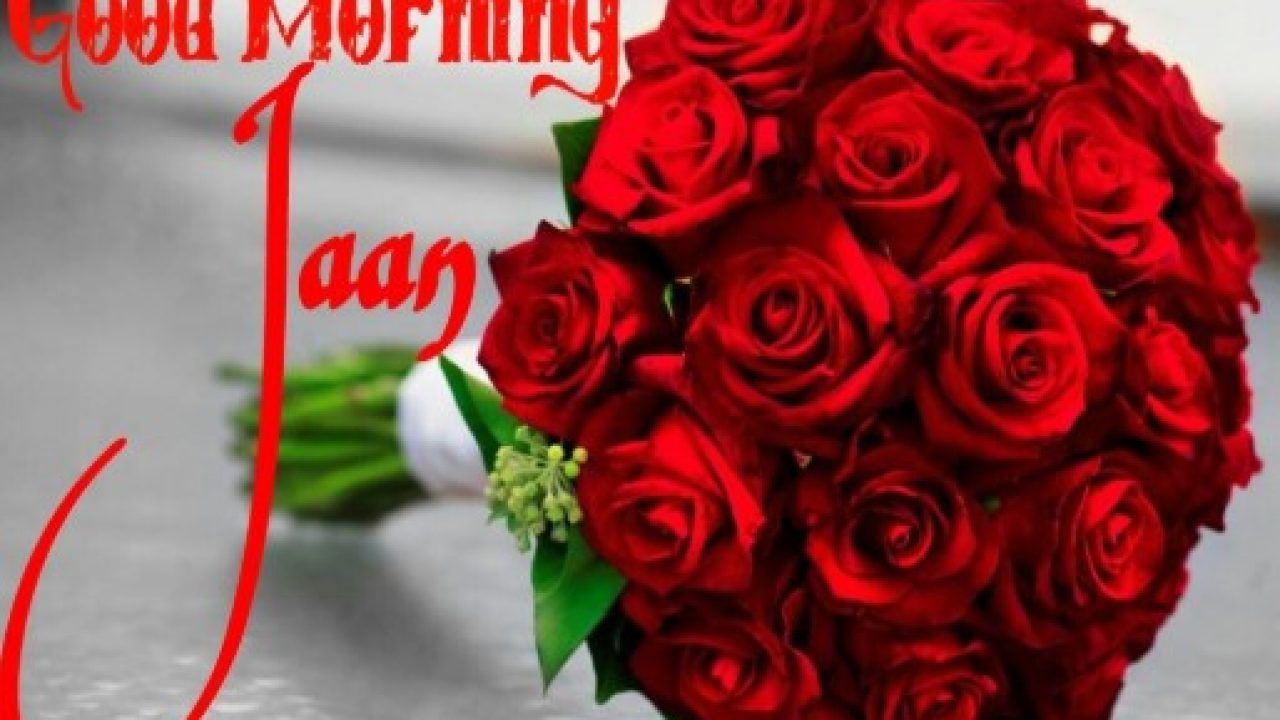 Bouquet rose rosse buongiorno, 1280x720 HD, Desktop