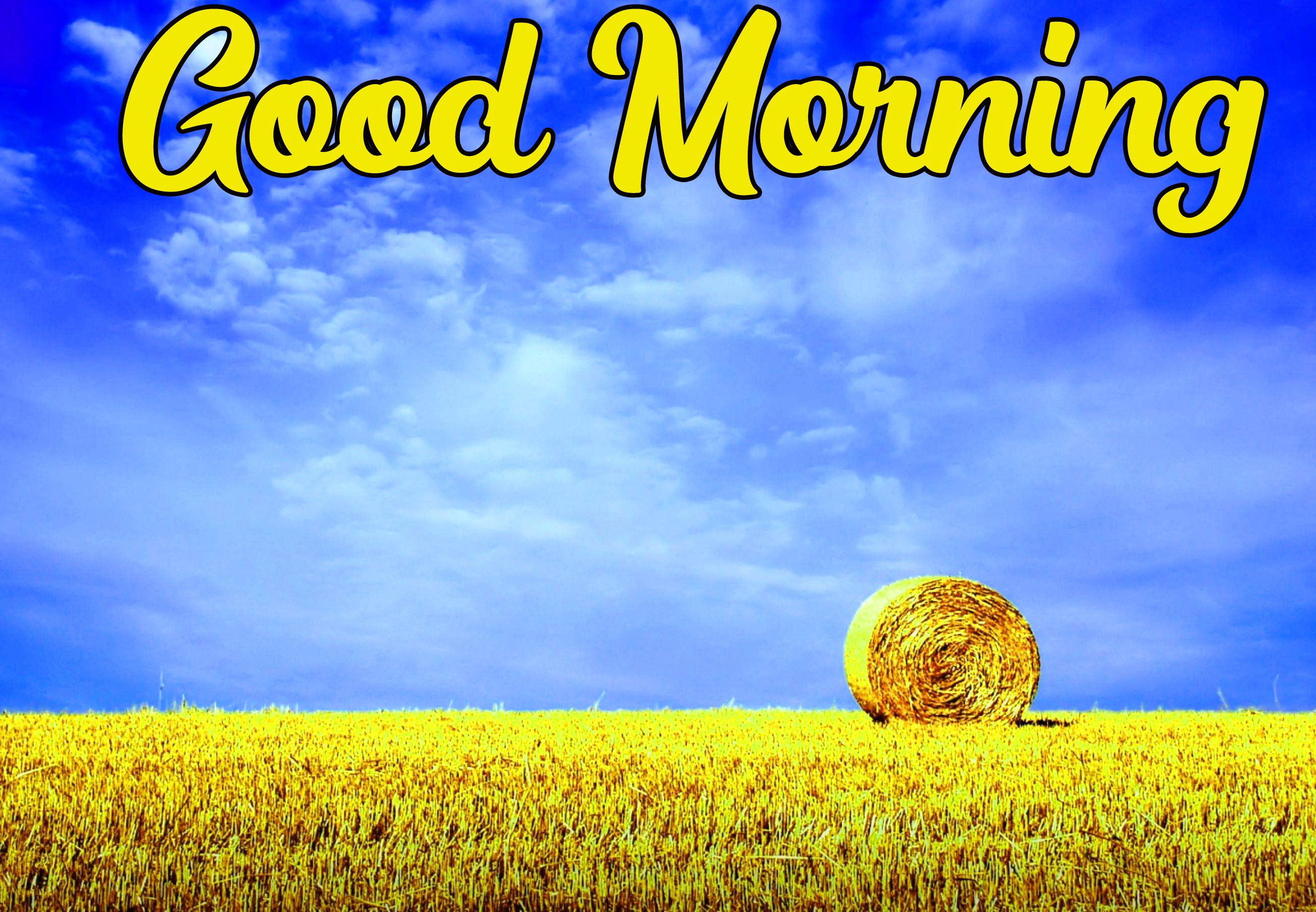 Tulipani rossi e colazione tavola, 1245x1600 Full HD Verticale, Smartphone