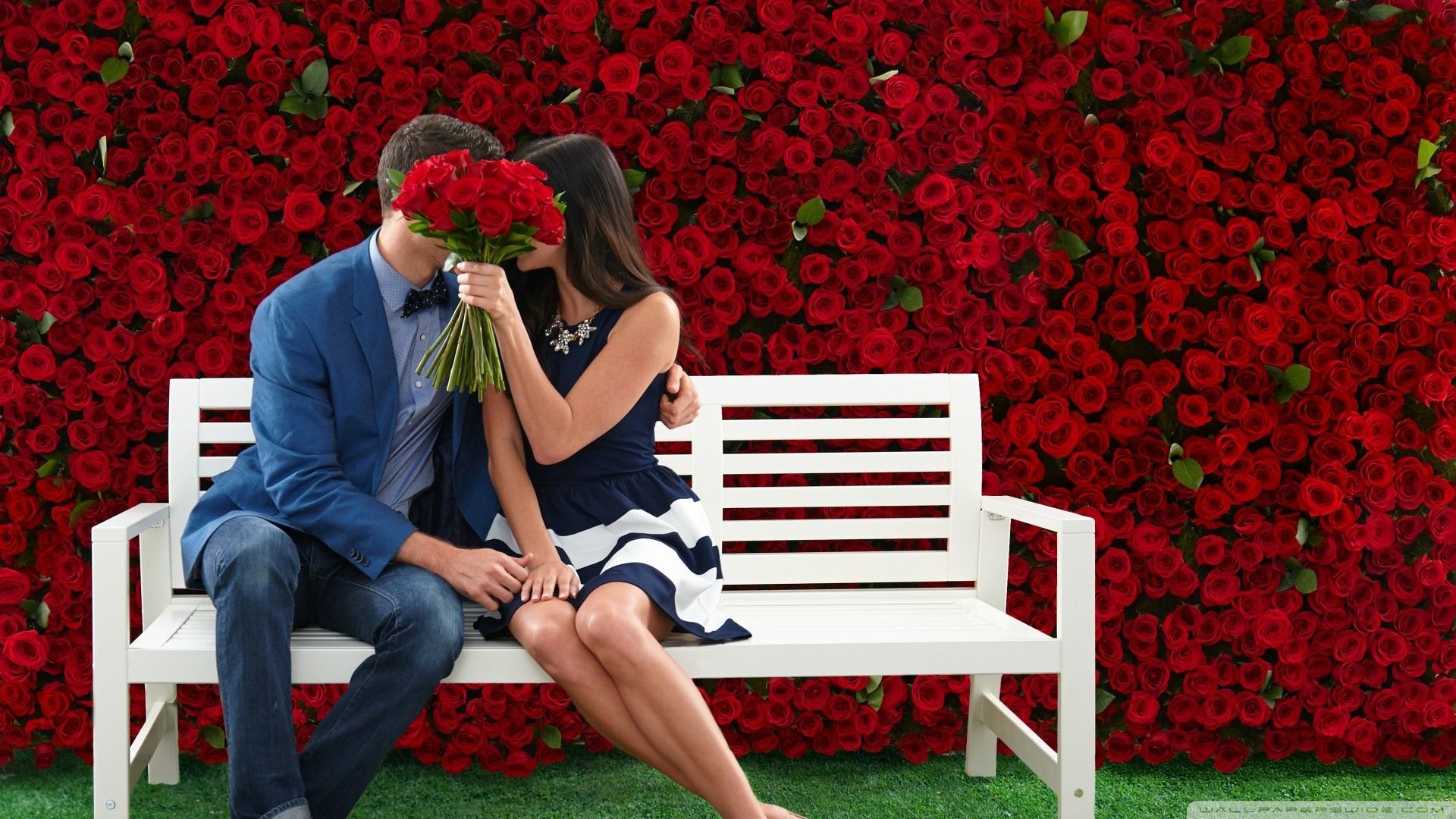 Coppia bacio panca rose rosse, 1920x1080 Full HD, Desktop