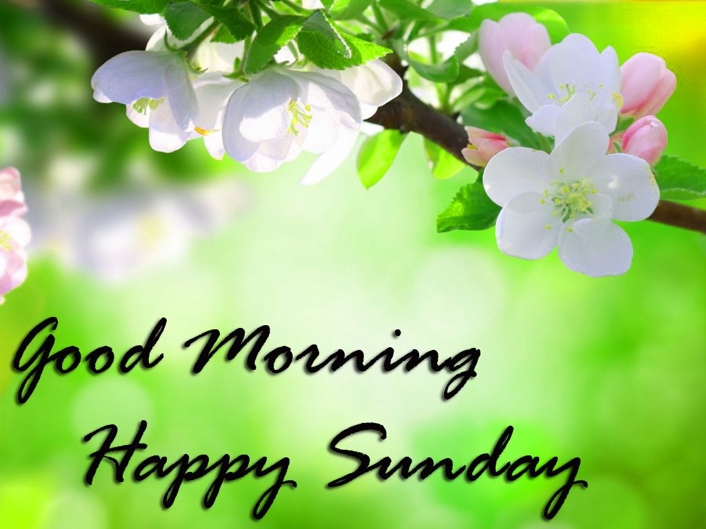 Buona Domenica, 1024x768 HD, PC Desktop
