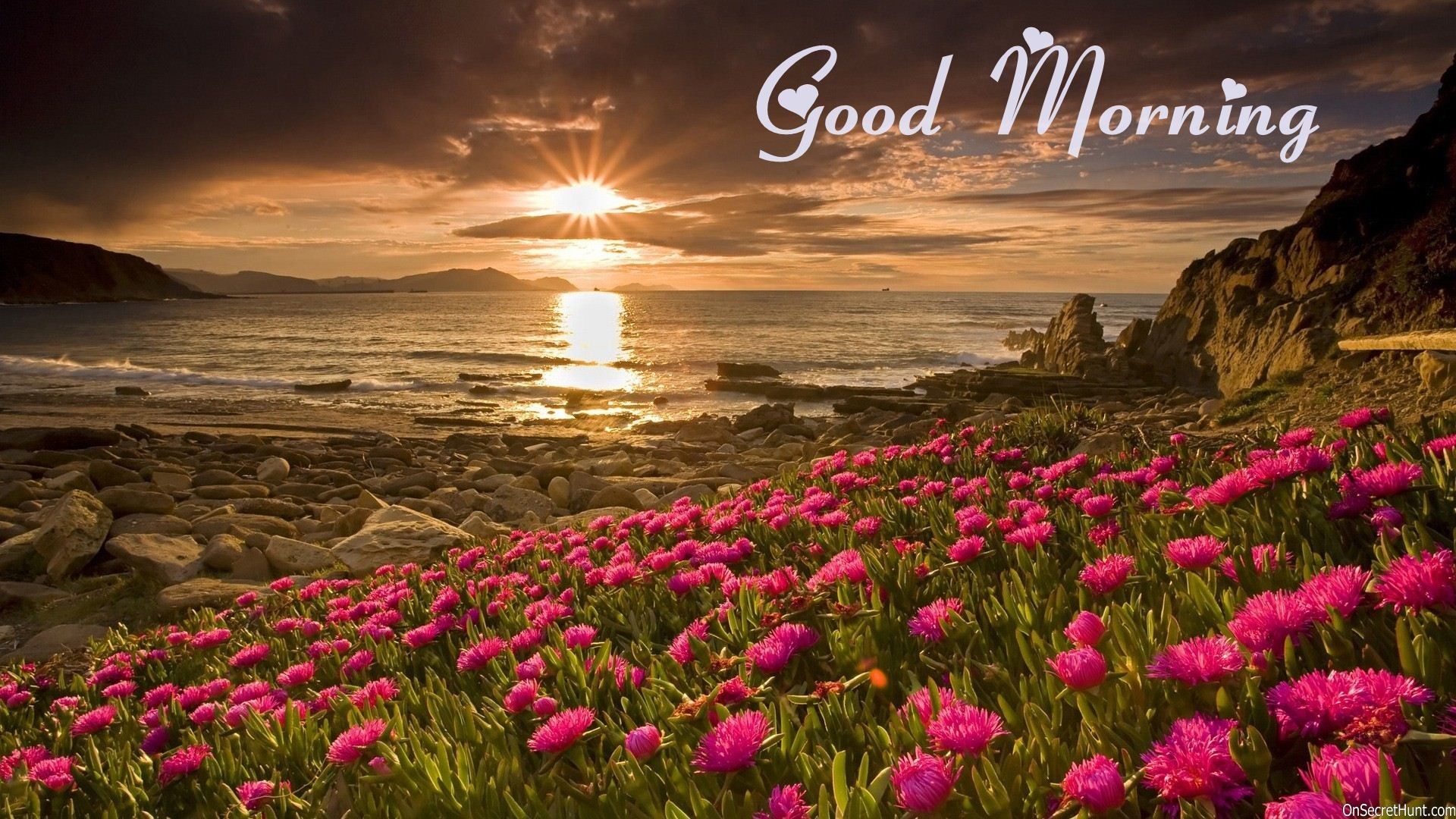 Alba sulla spiaggia con fiori rosa, 1920x1080 Full HD 1080p, Desktop