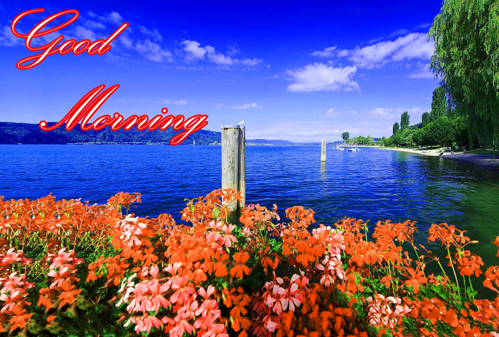 Paesaggio lago con fiori arancioni, 1662x1122 900p, Desktop