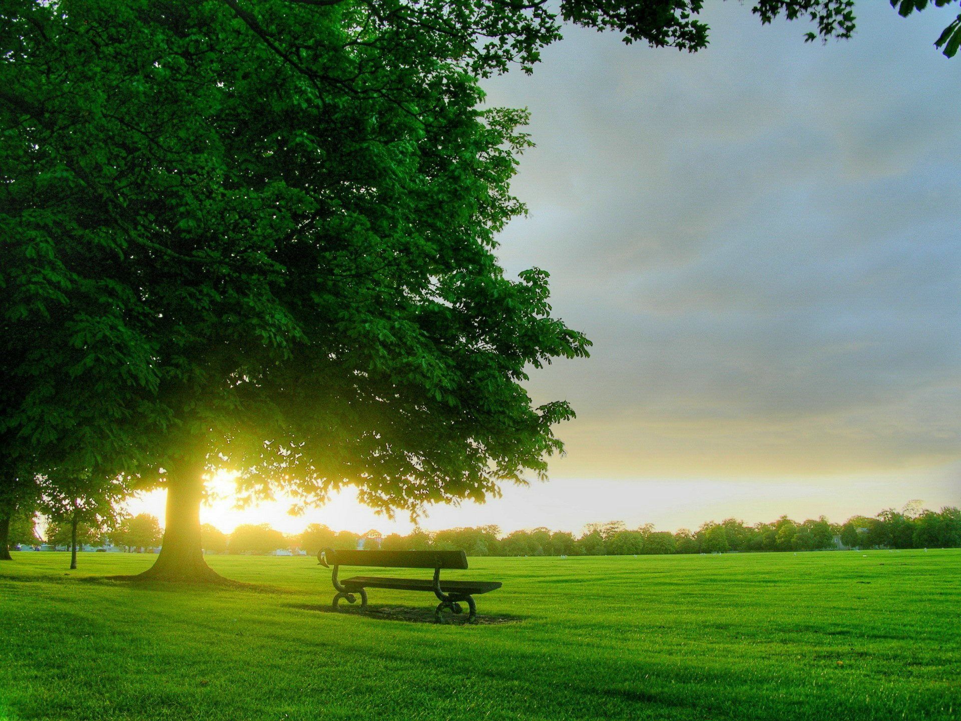 Panorama alba con albero e panchina, 1920x1440 Full HD+ WUXGA, PC Desktop