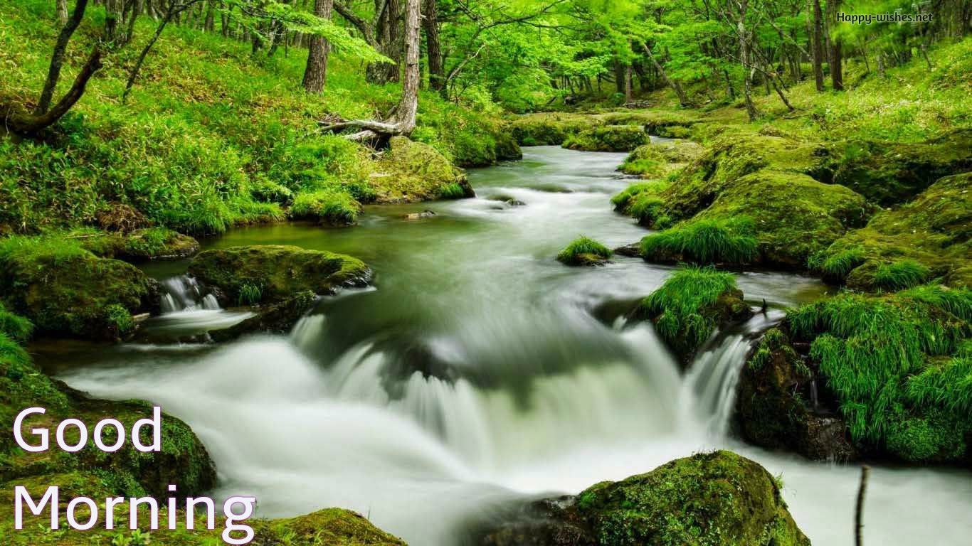 Cascata nella foresta verde, 1366x768 HD, Desktop