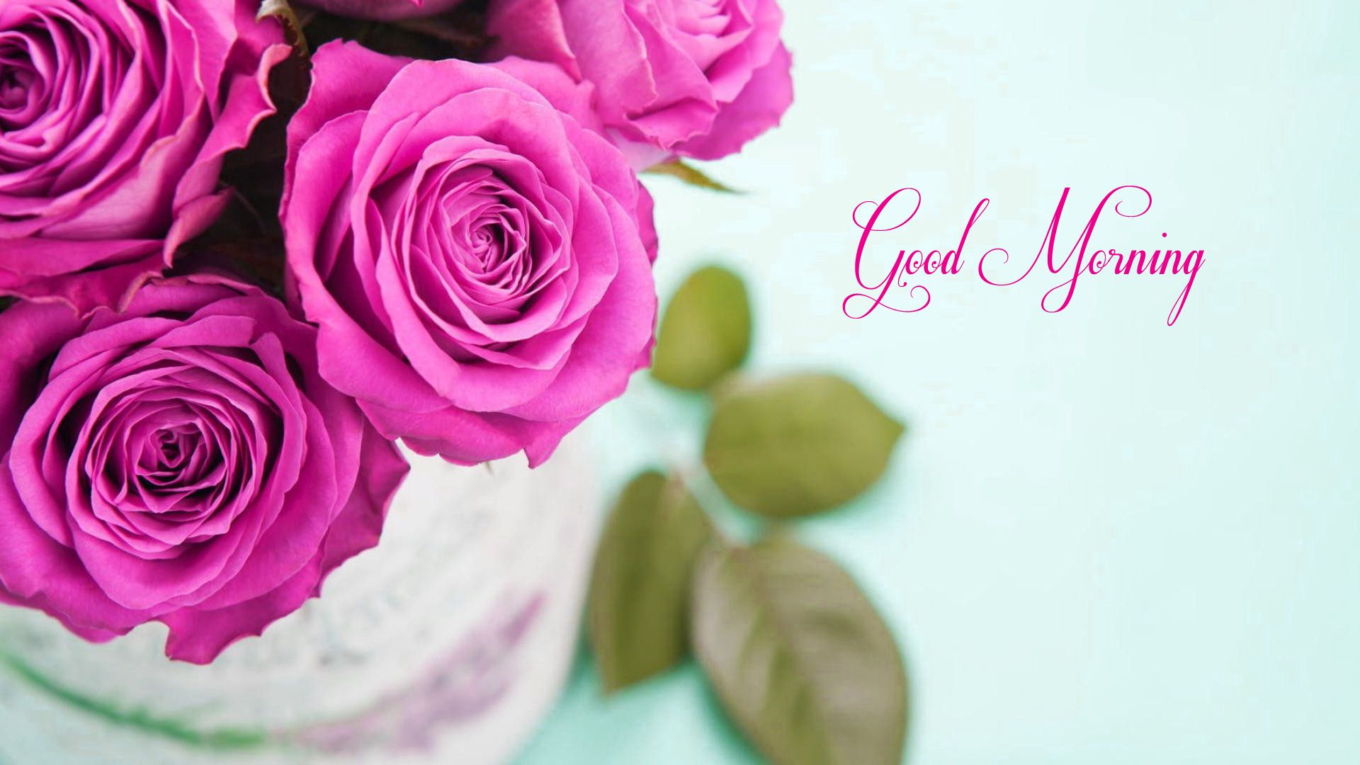 Rose rosa in vaso, 1920x1080 Full HD, Laptop