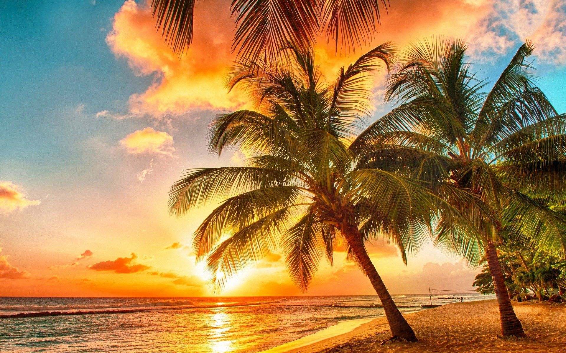 Palme in spiaggia al tramonto, 1920x1200 Full HD+ WUXGA, PC