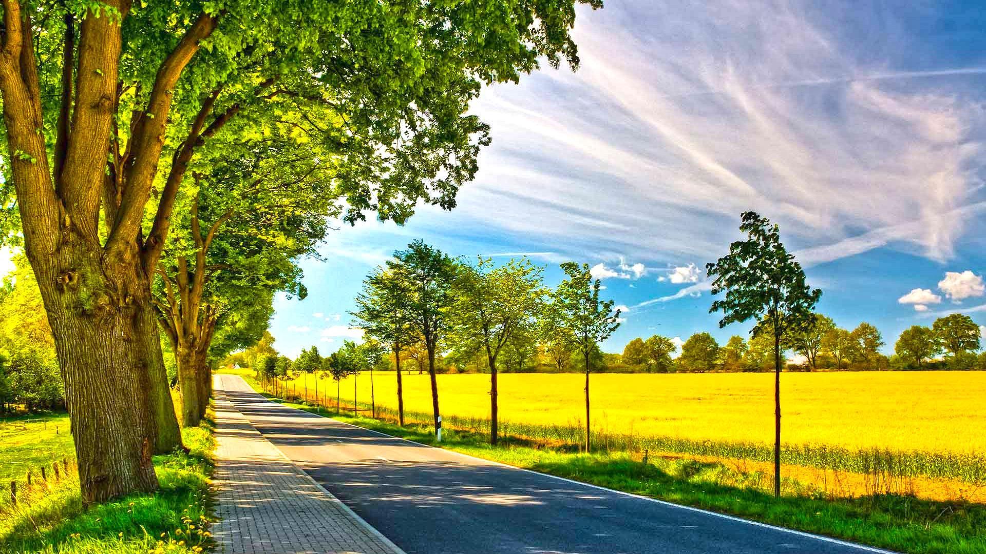 Strada di campagna alberata, 1920x1080 1080p, Desktop