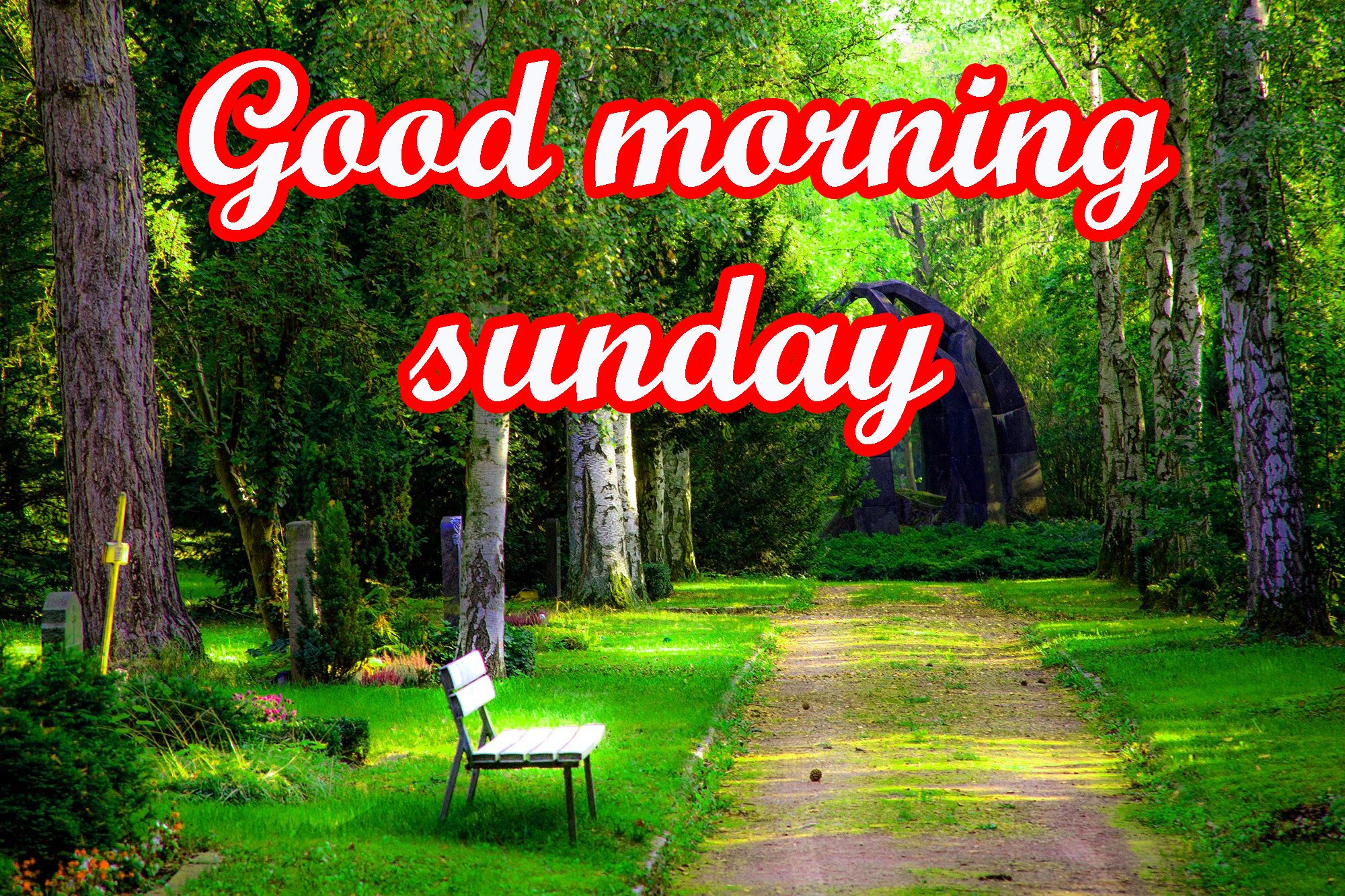 Buona Domenica, 1280x720 720p, PC