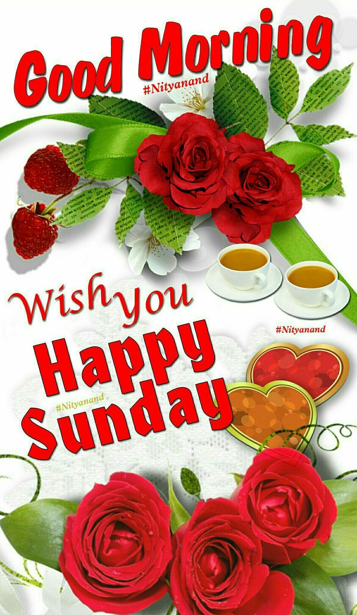 Buona Domenica, 1024x768 HD, PC