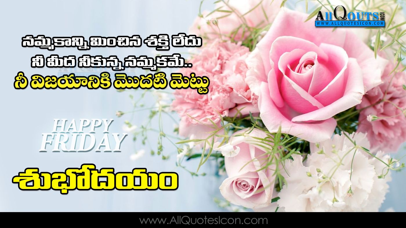 Fiori rosa e testo telugu, 1400x788 720p, PC