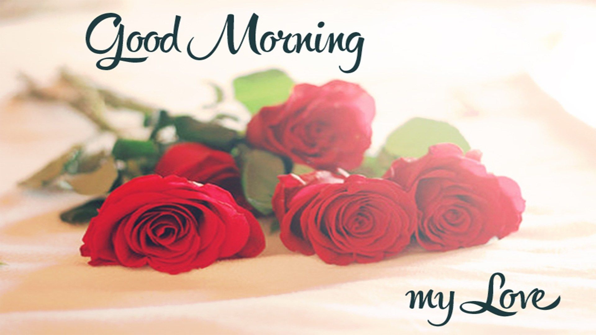 Rose rosse buongiorno amore, 1920x1080 1080p, Laptop
