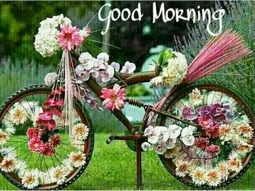 Bicicletta decorata con fiori, 1024x768 HD, PC