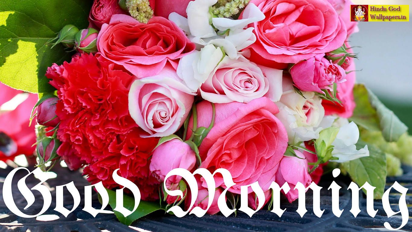 Bouquet rose rosa e bianche, 1366x768 HD, Desktop