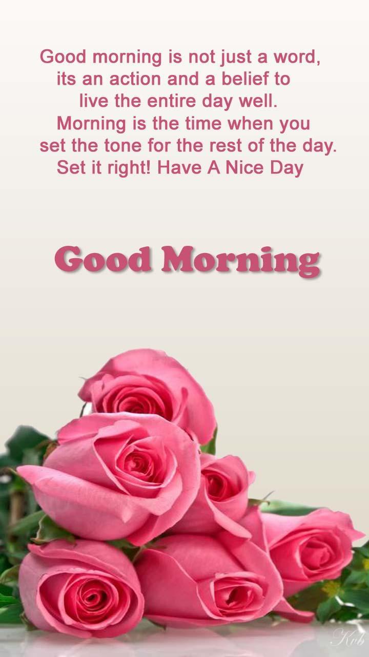 Rose rosa buongiorno testo, 720x1280 Verticale, Telefono