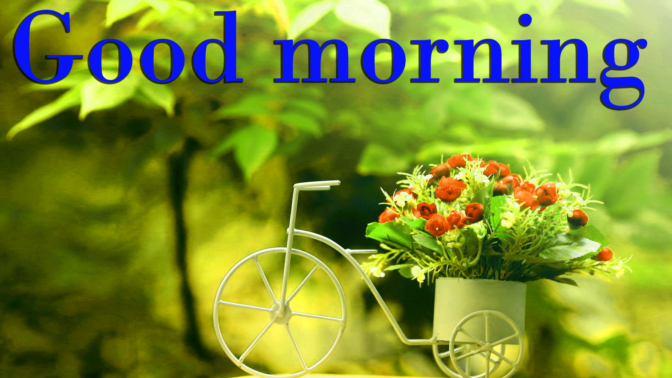 Bicicletta decorativa con fiori, 2208x1242 Hi-Res, Desktop