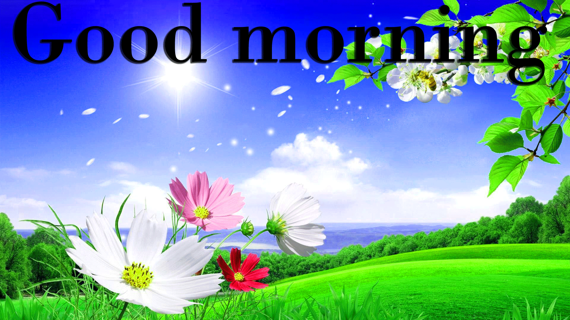 Iris viola, buongiorno martedì benedetto, 1024x768 HD, PC