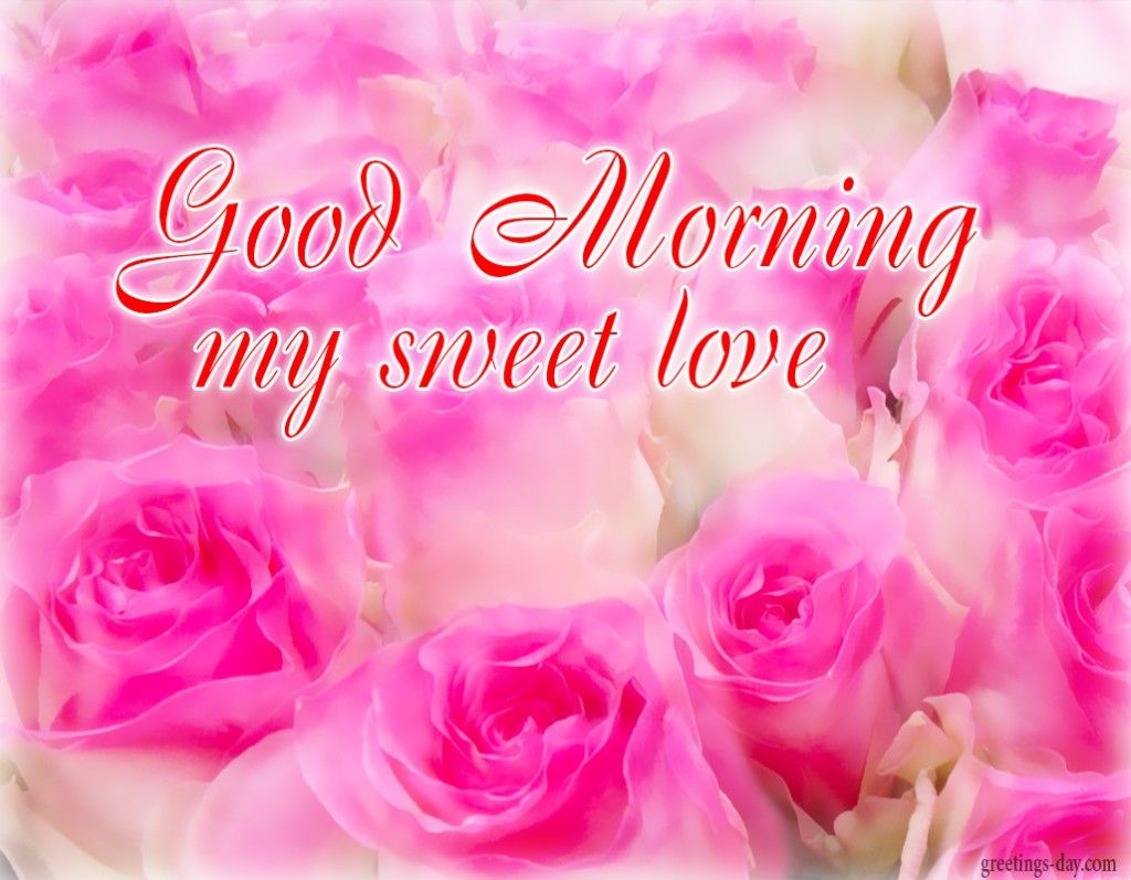Rose rosa buongiorno amore, 1024x797 HD, Desktop