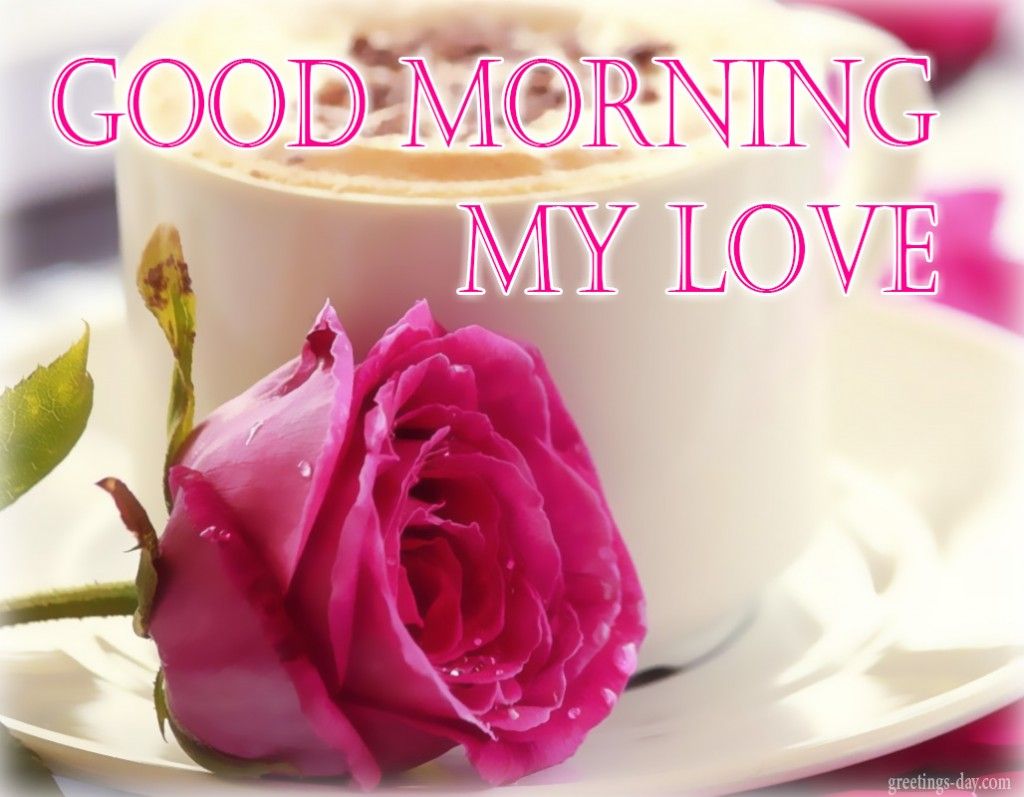 Rosa rosa e tazza caffè, 1024x797 HD, Desktop