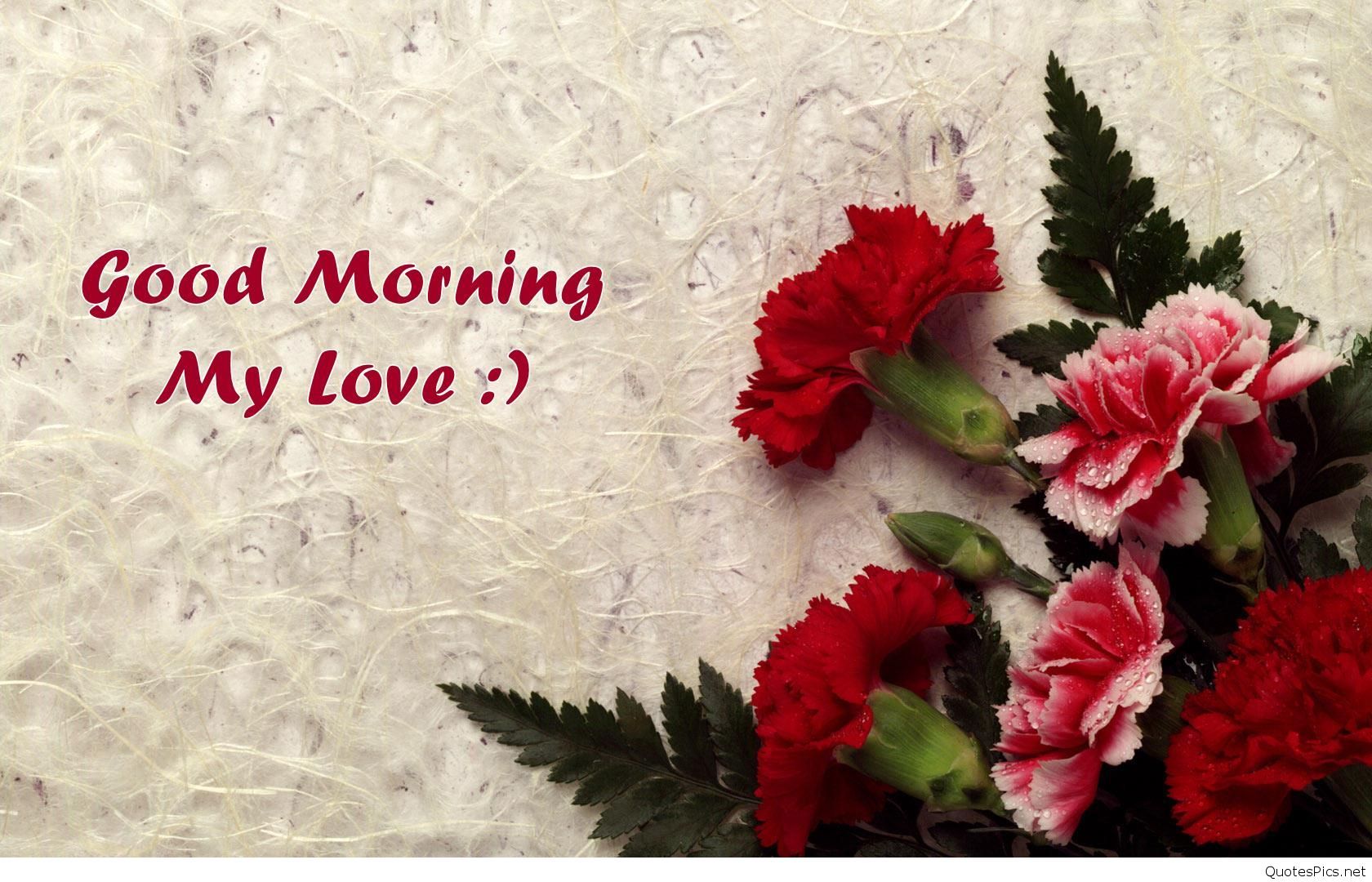 Fiori rossi buongiorno testo, 1680x1080 HD, ROG Asus Laptop