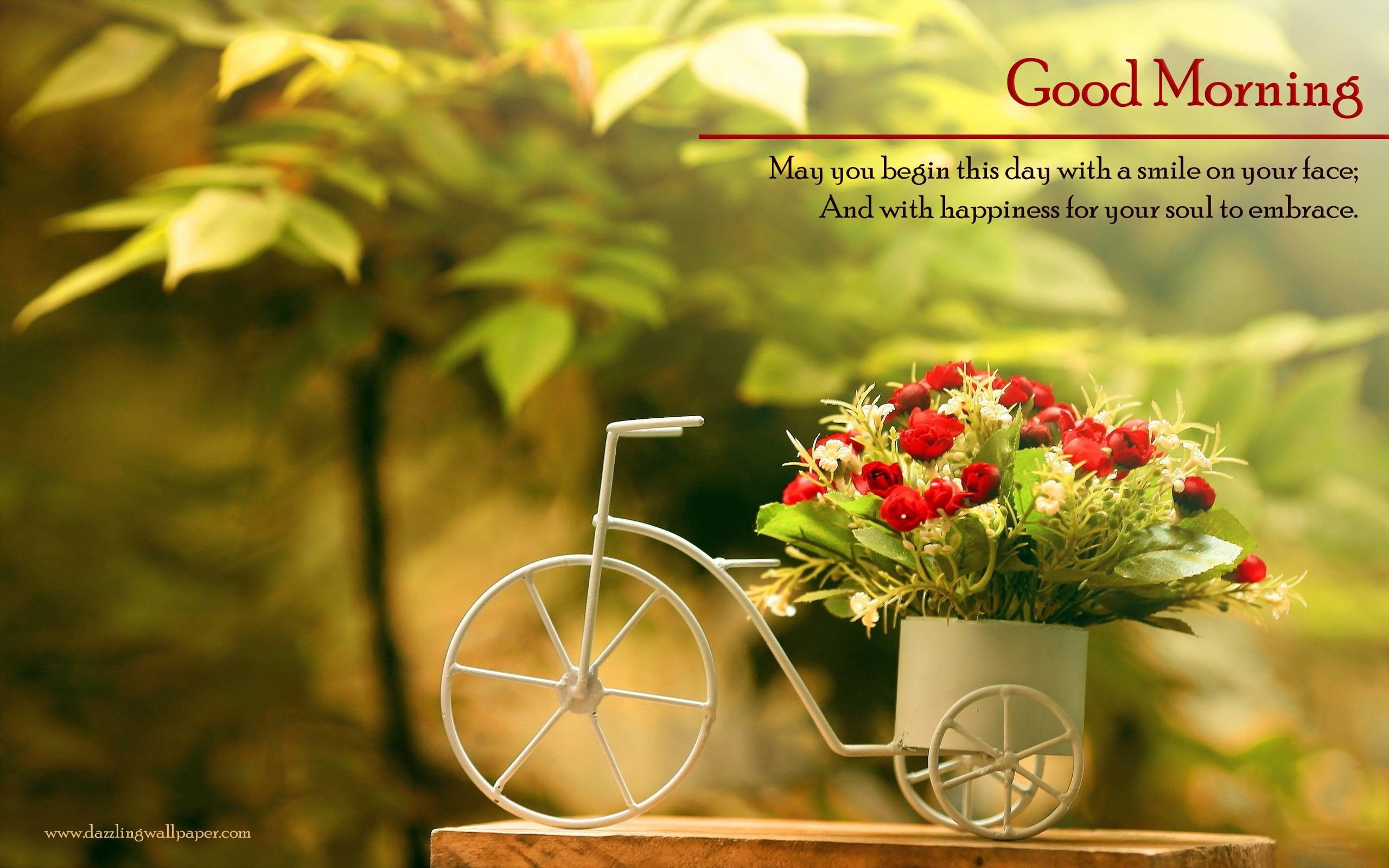 Bicicletta decorativa con fiori, 2560x1600 2K+, Laptop
