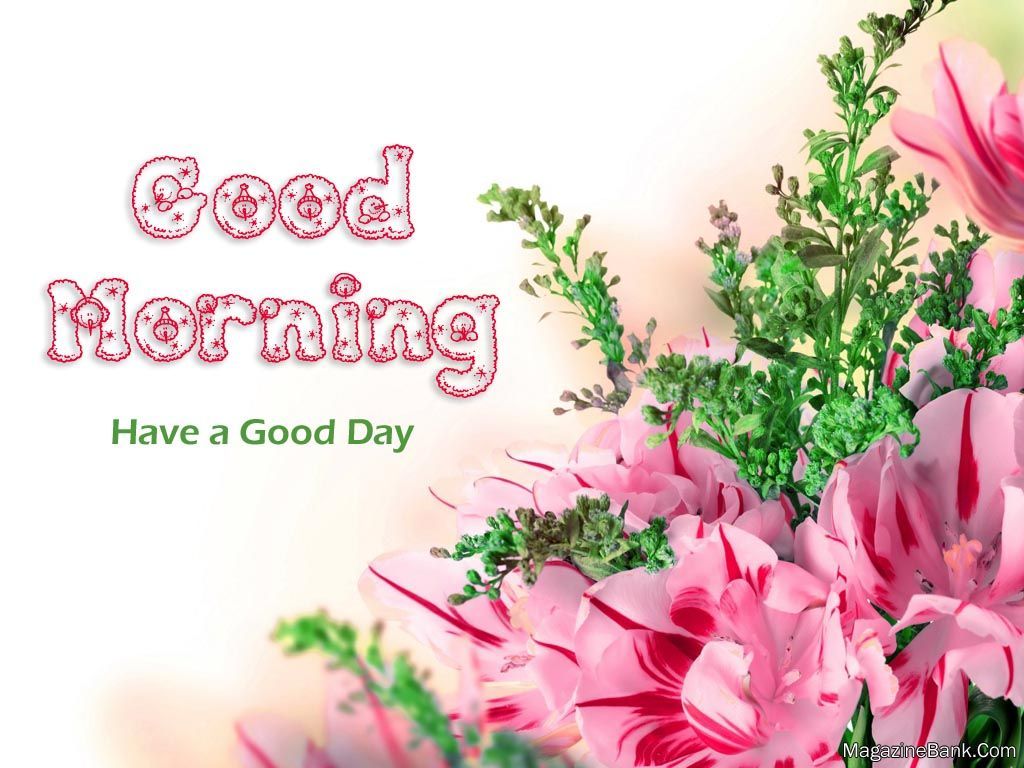 Ganesh Buongiorno Mercoledì fiori, 1366x768 HD, Desktop