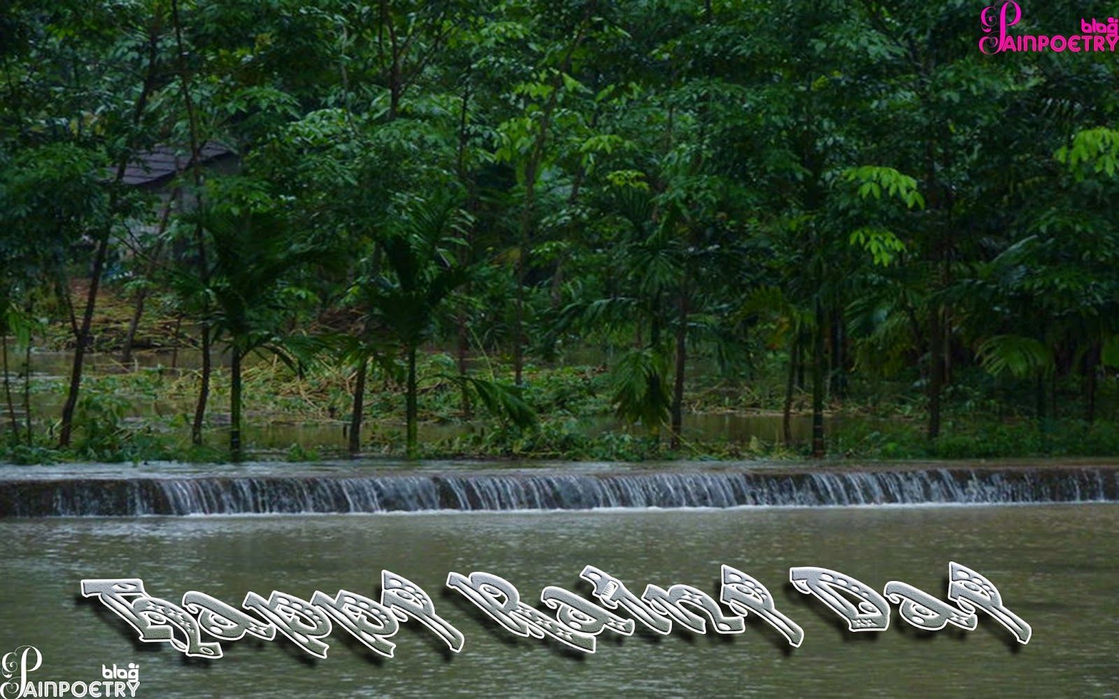 Cascata verde giorno piovoso, 1600x1000 HD, PC