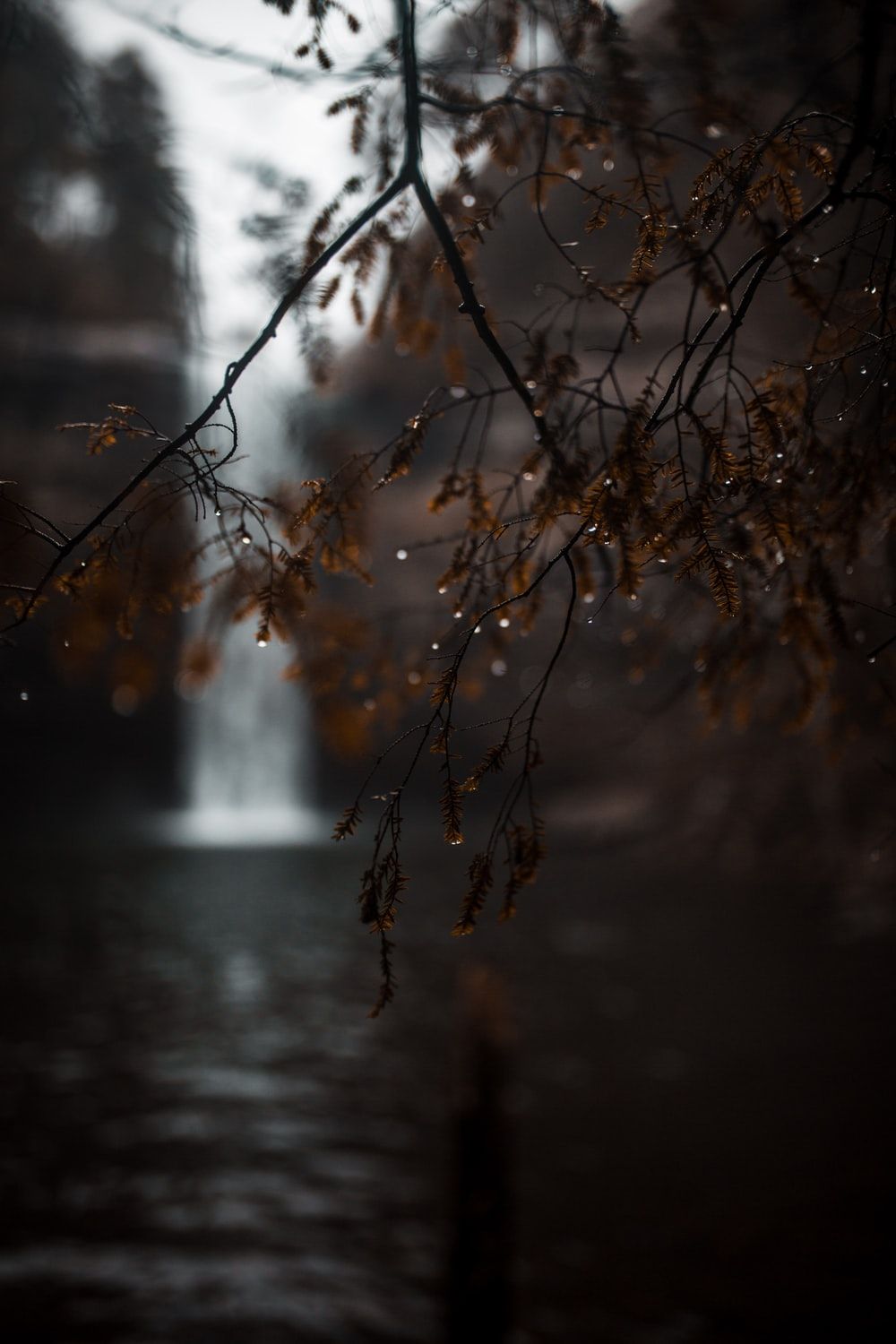 Cascata con rami umidi, 1000x1500 Verticale, Telefono
