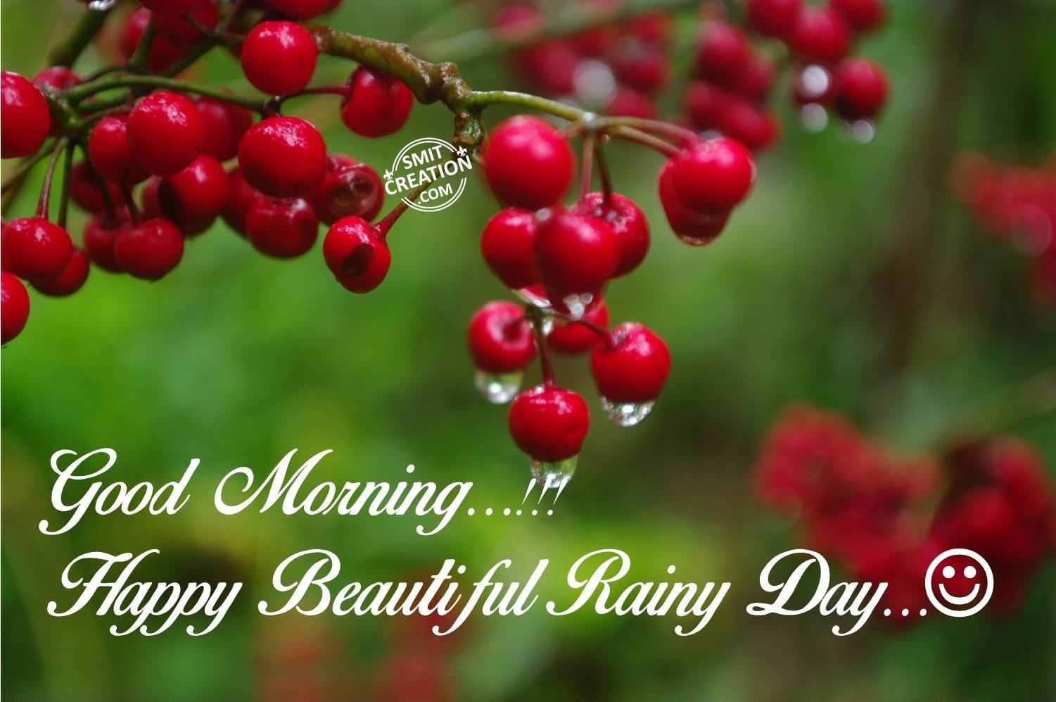 Bacche rosse con gocce di pioggia, 1501x997 HD, Desktop