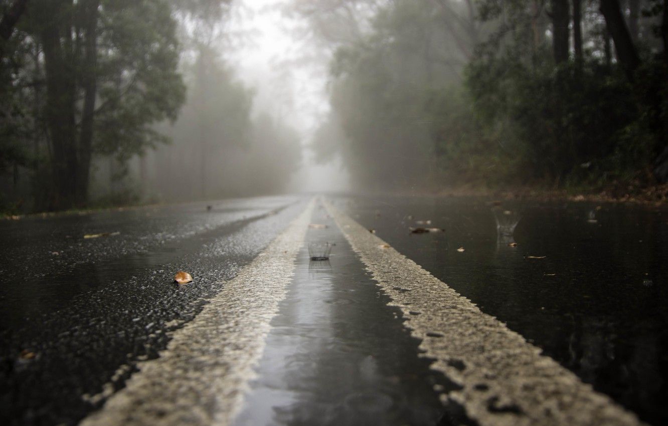 strada bagnata nella nebbia, 1332x850 720p, Acer Nitro