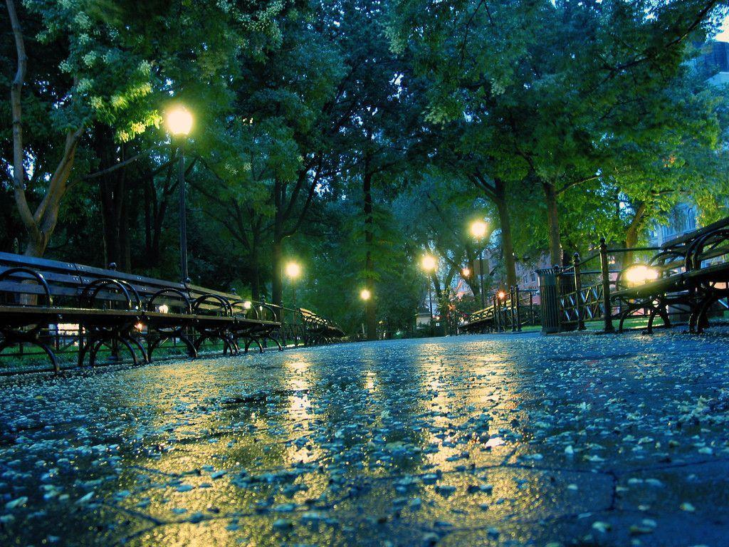 Parco piovoso sera con lampioni, 1024x768 HD, Desktop