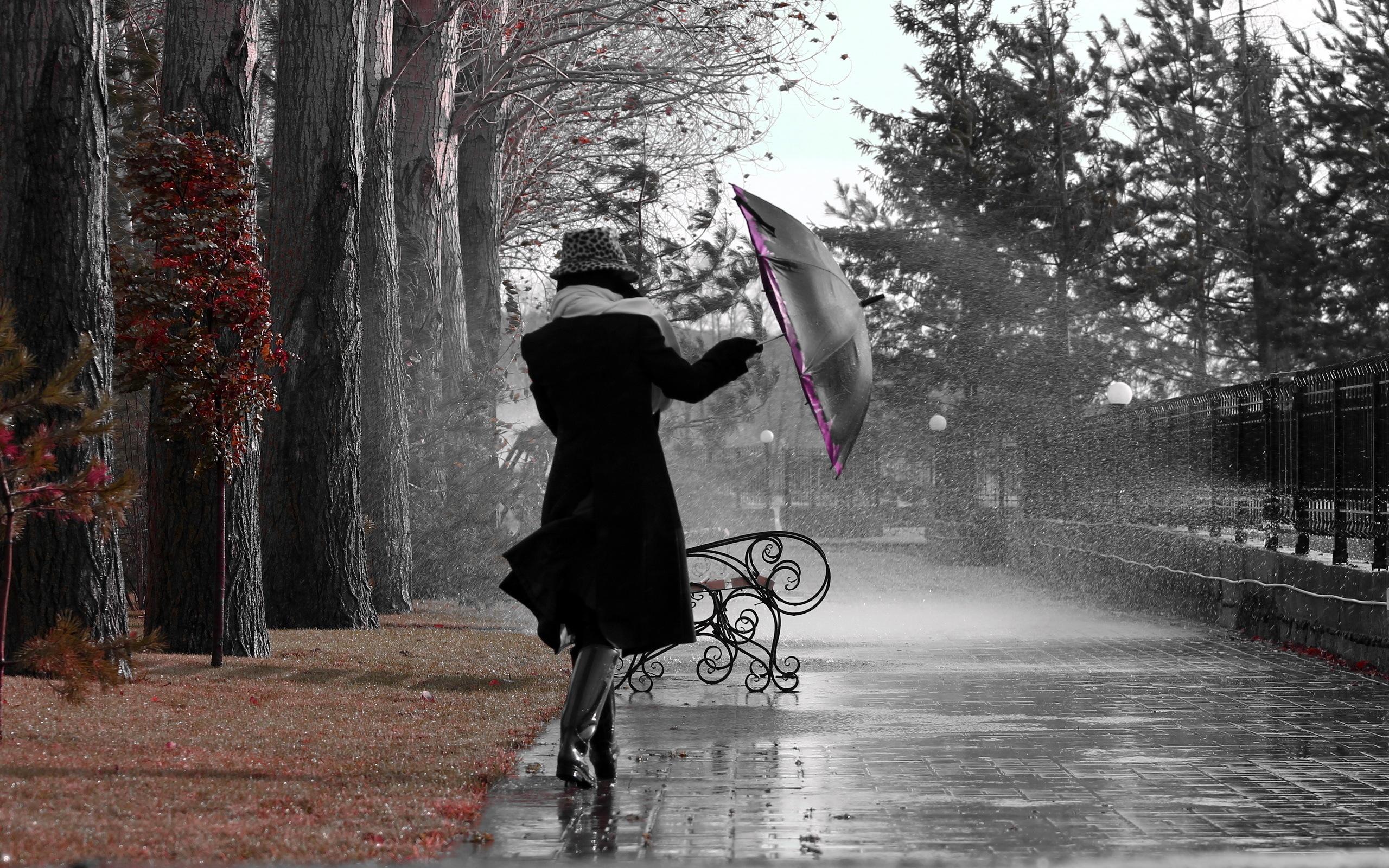 Donna con ombrello sotto pioggia, 2560x1600 WQXGA, Desktop