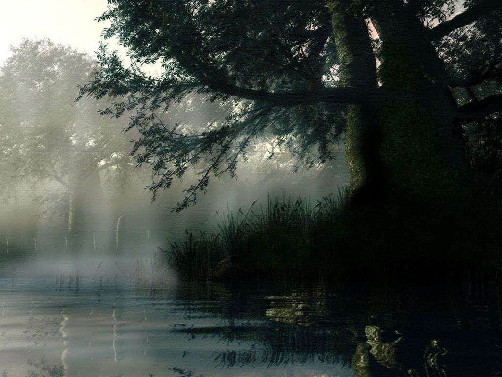 Albero nebbia fiume mattutino, 1024x768 HD, Desktop