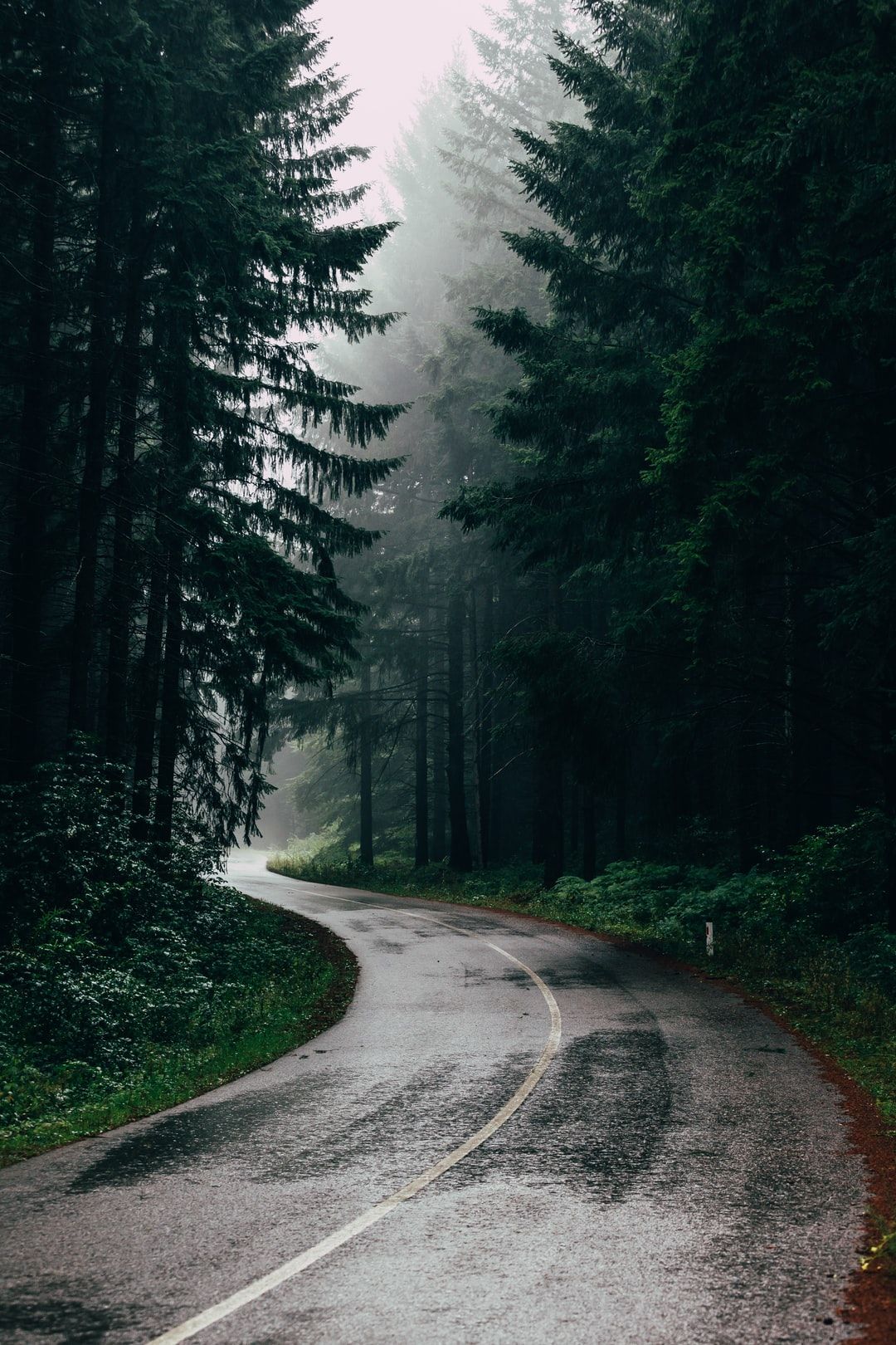 Strada tortuosa nella foresta nebbiosa, 1080x1620 Full HD Verticale, Smartphone