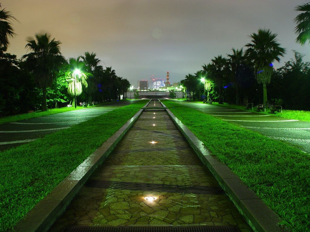 Parco notturno con palme illuminate, 1024x768 HD, Desktop