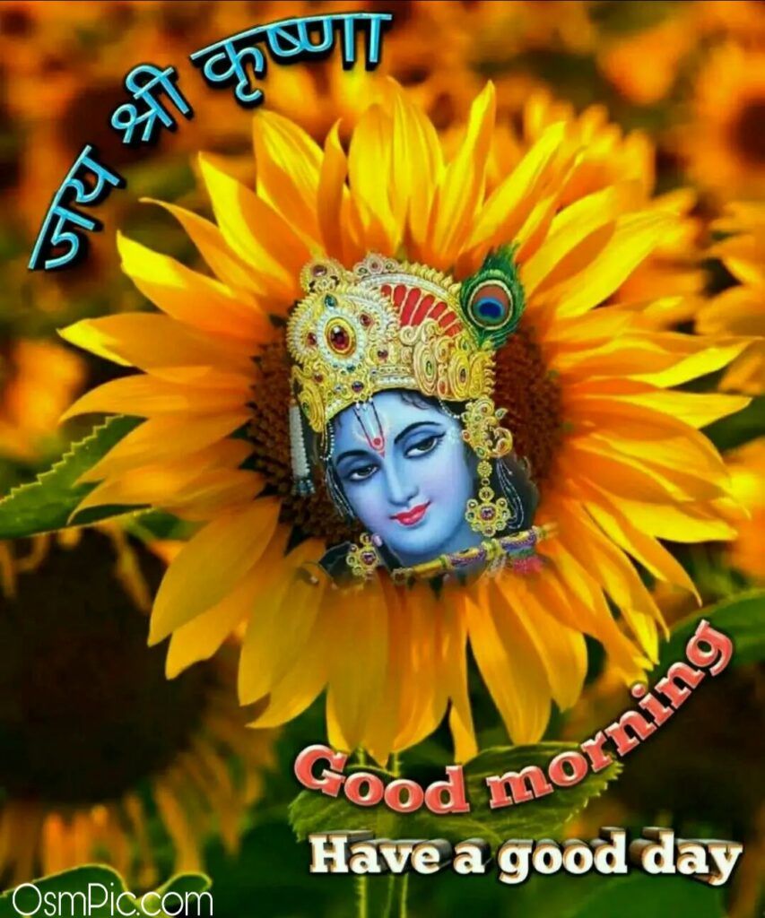 Krishna girasole buongiorno religioso, 853x1024 Verticale, Mobile