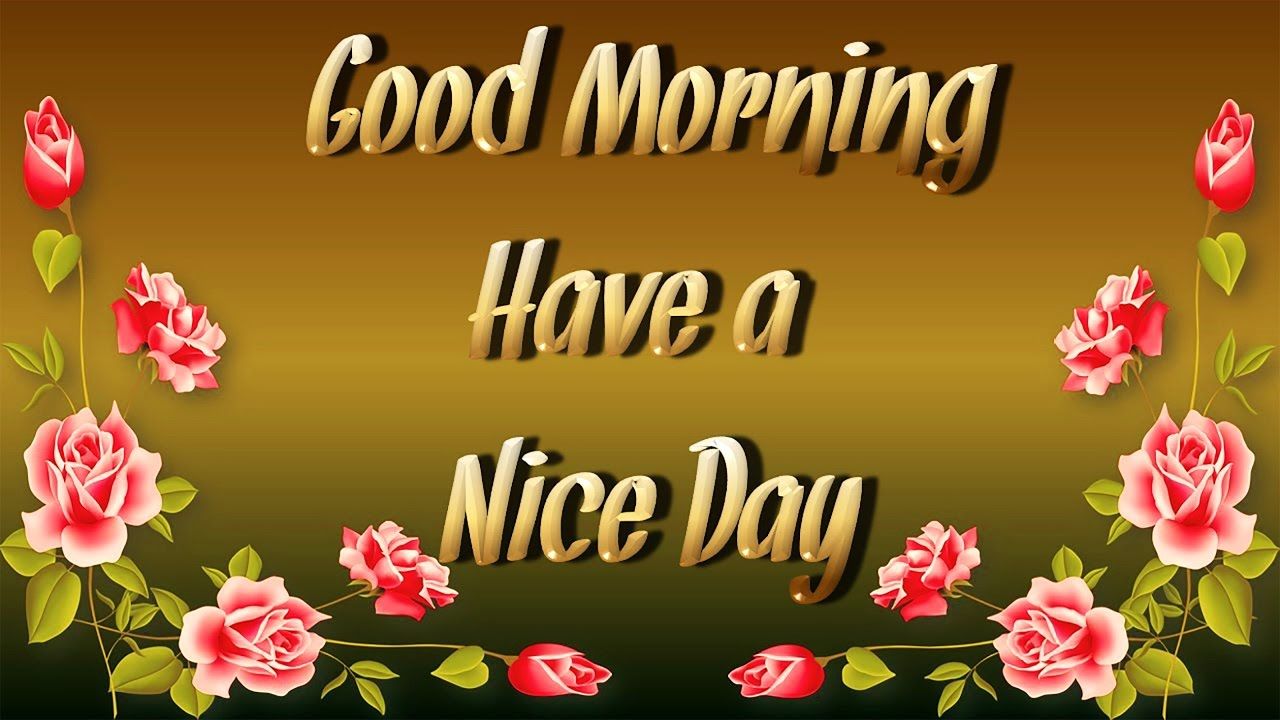 Good Morning rose dorate, 1280x720 720p, Laptop