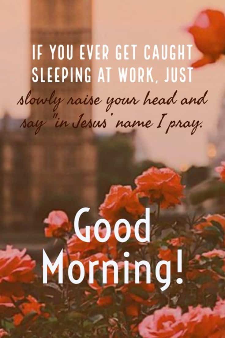 Citazione Buongiorno con rose arancioni, 735x1103 Full HD Verticale, iPhone