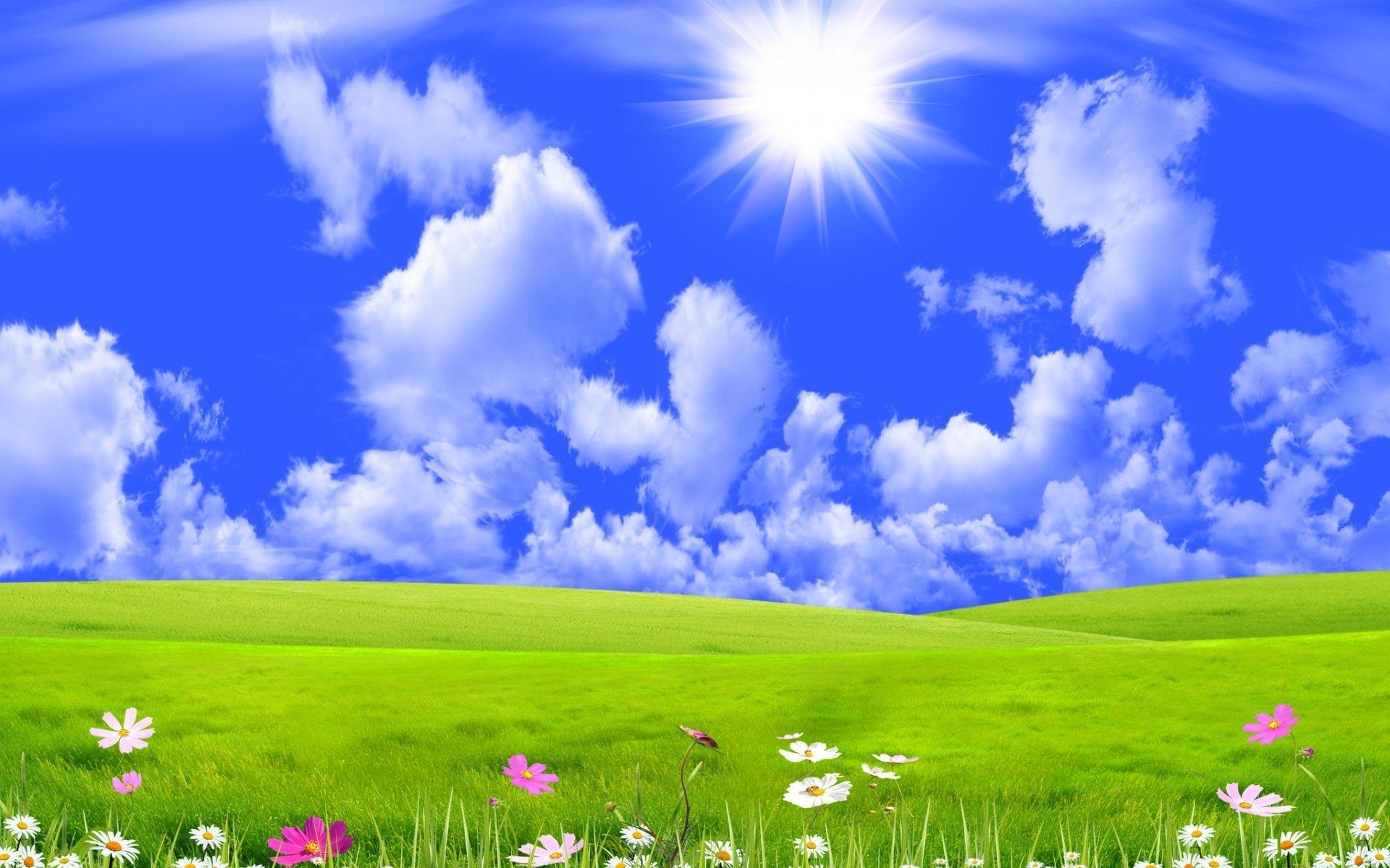Prato verde con sole e fiori, 1920x1200 Full HD+, Desktop