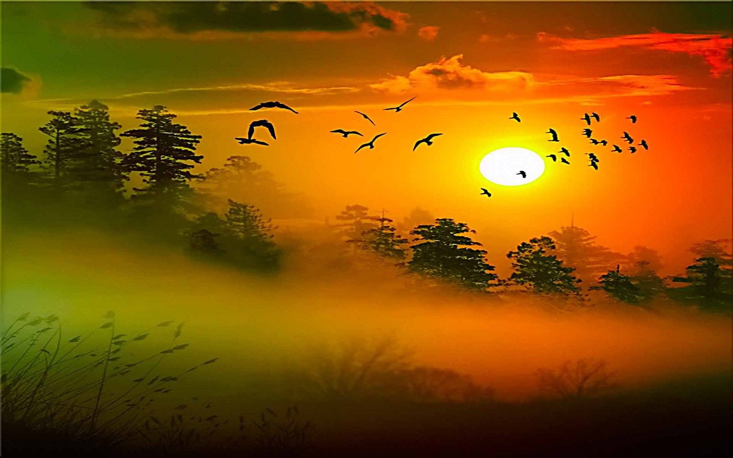 Alba con uccelli e alberi, 1440x900 720p, MacBook Air